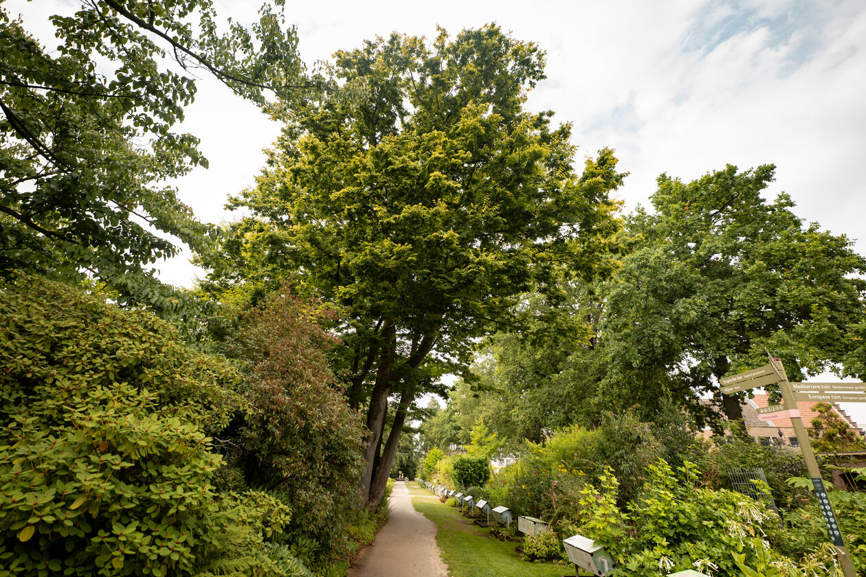 1. 2025-08-13  - P1336332 ©Simone Both