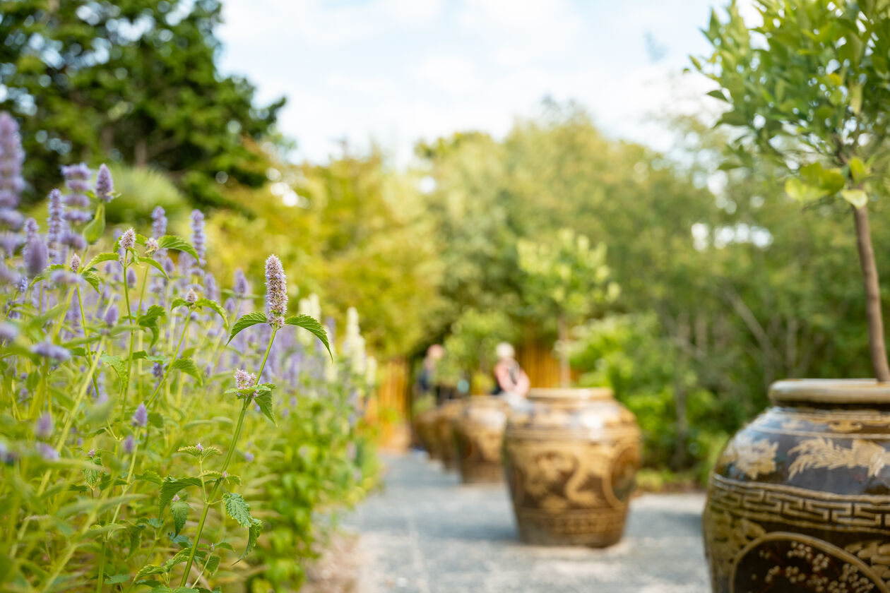 2. 2025-07-14  - P1335170