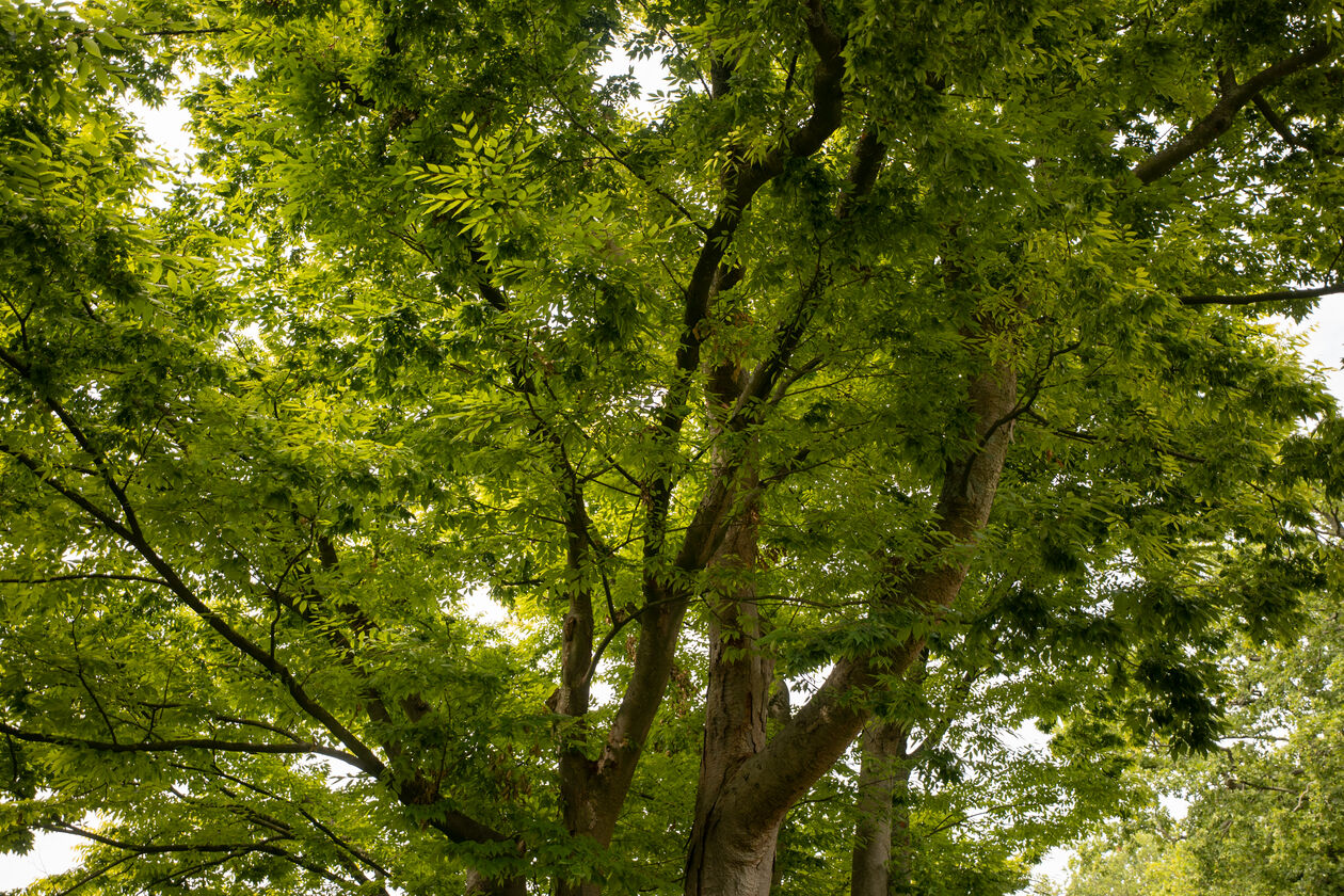 2. 2025-08-13  - P1336340 ©Simone Both