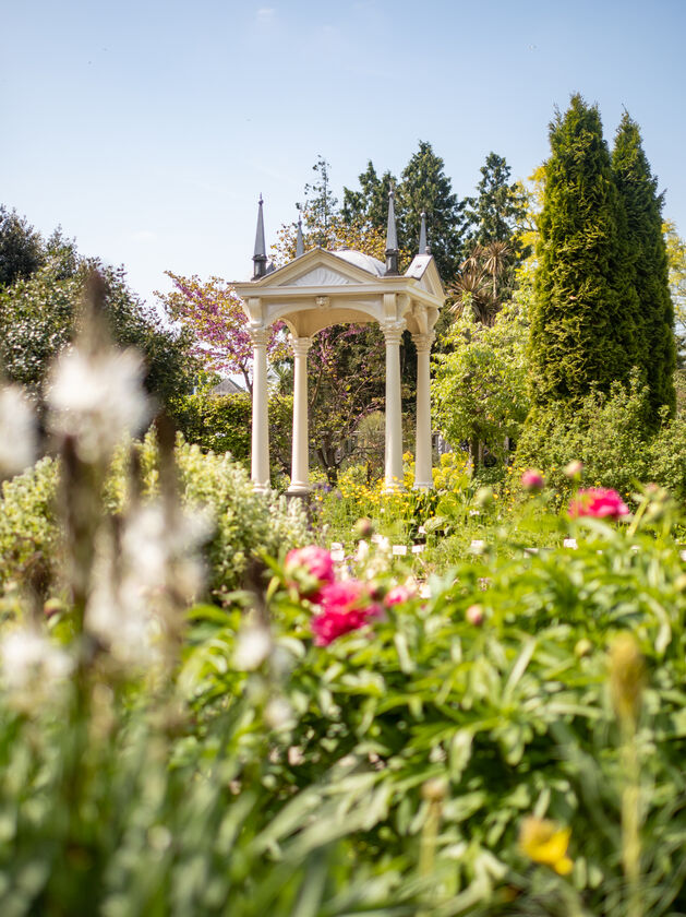 2022-05-06 124557 Lente - ©Simone Both - P1540217