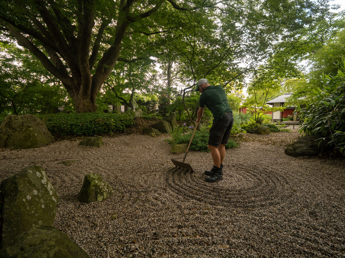 2023-07-12 104604 Japanse tuin - ©Simone Both - P2024006