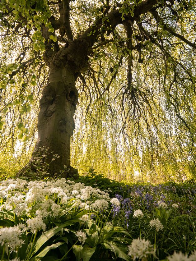 4. 2022-05-06 121448 Lente - ©Simone Both - P1540048