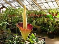 Audiotour Kroonjuwelen van de Hortus