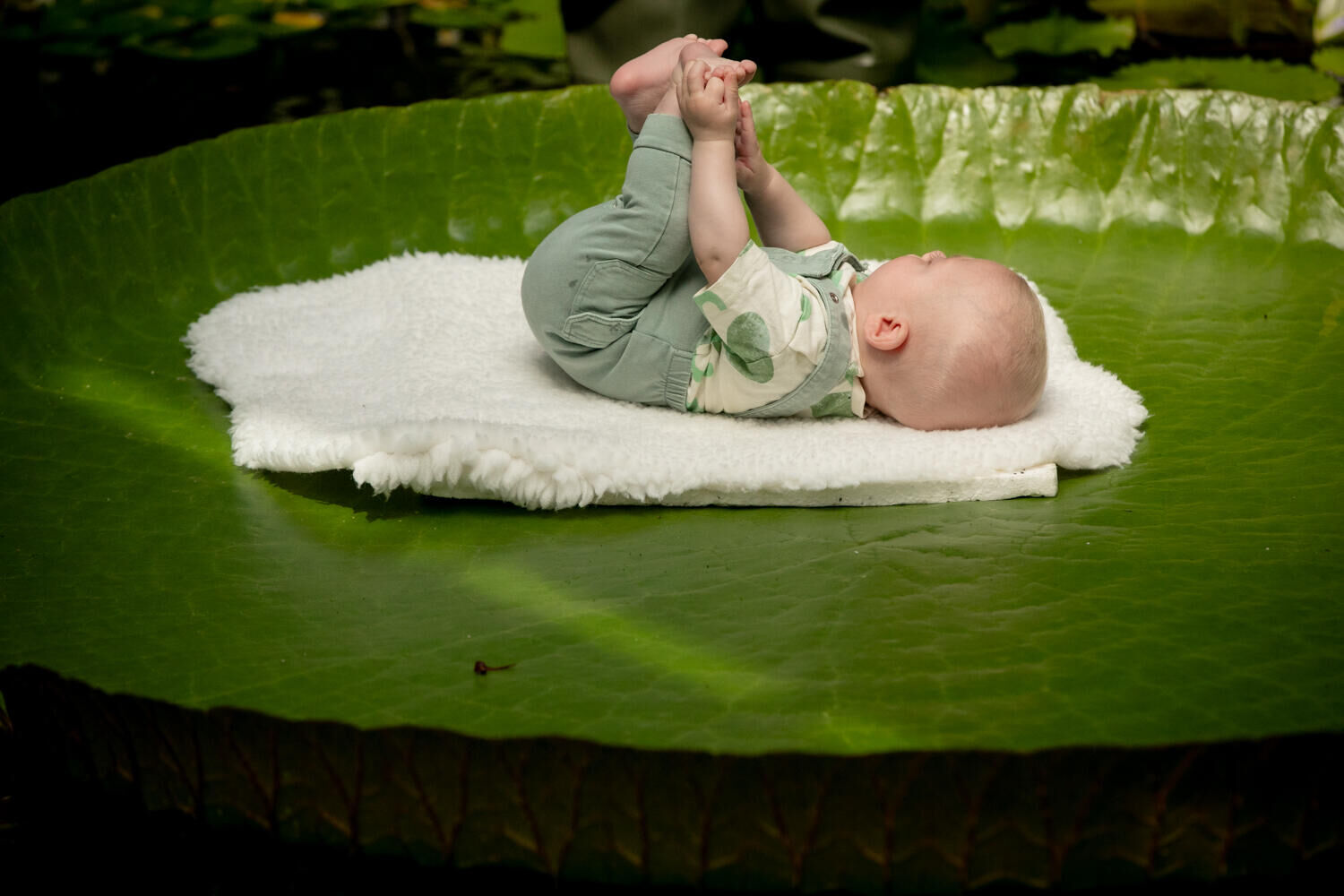 Baby op het blad