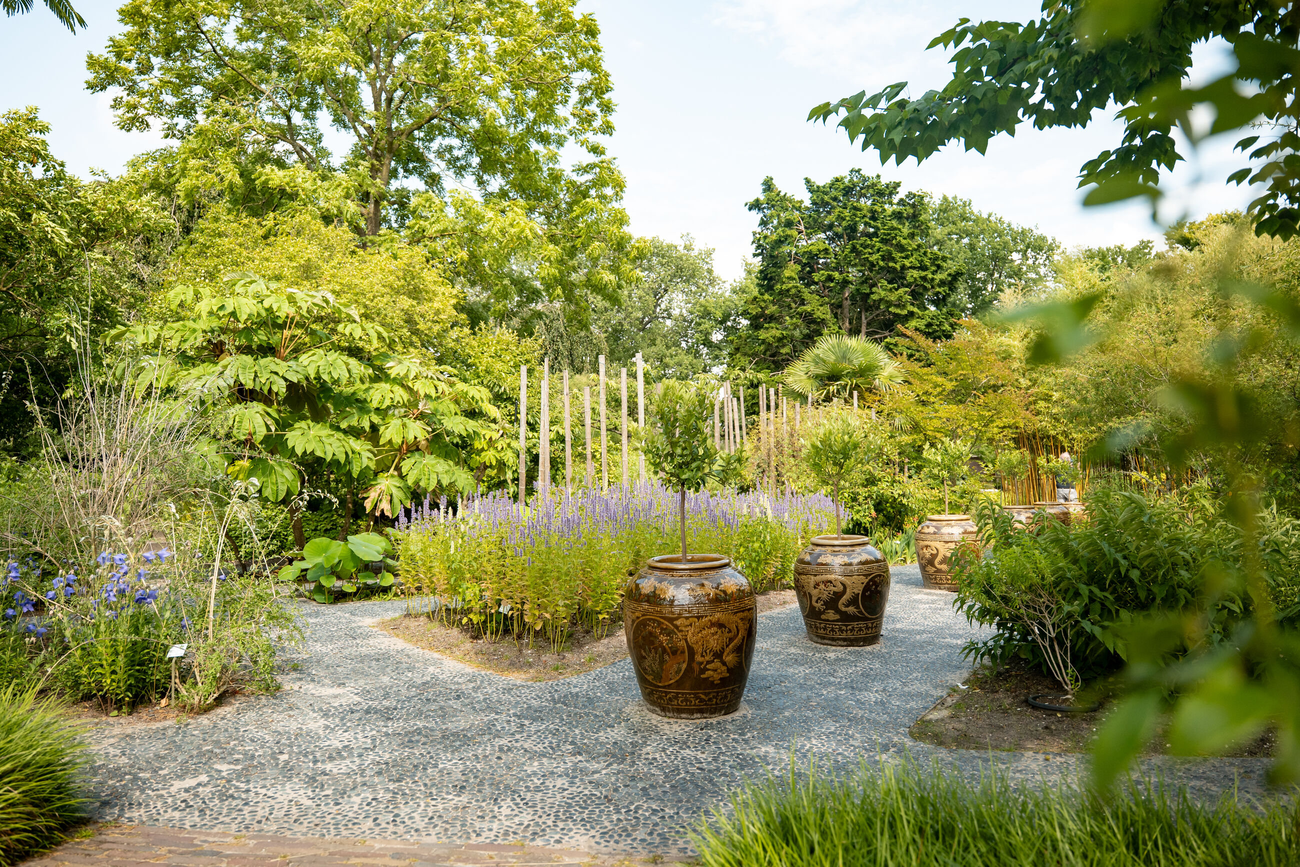 Chinese kruidentuin met medicinale planten