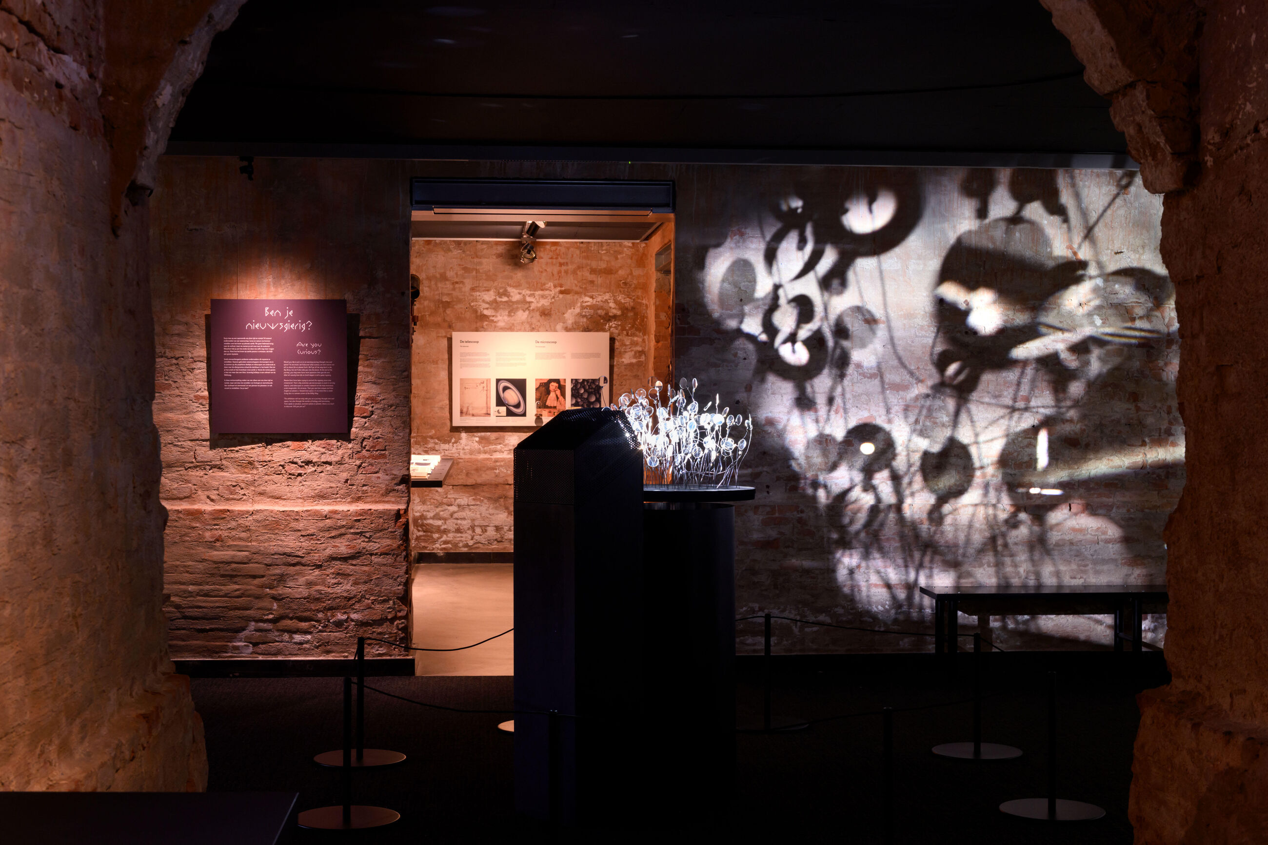 Coördinator Bezoekerscentrum Sterrewacht