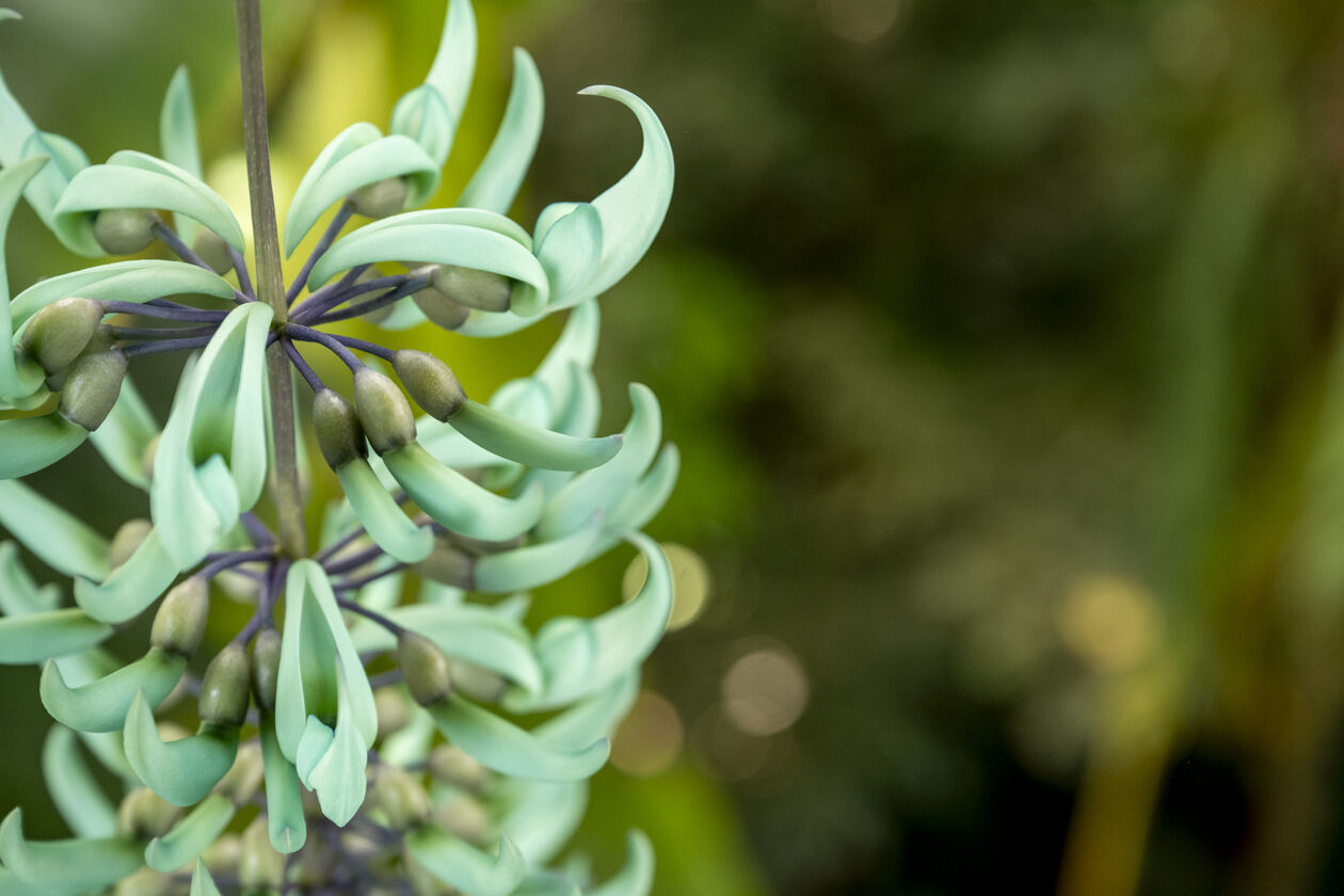 Diversen met en zonder model 28-04-2025 LR-208