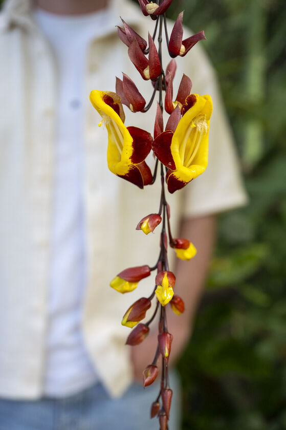 Diversen met en zonder model 28-04-2025 LR-212