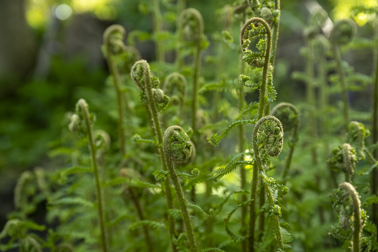 Diversen met en zonder model 28-04-2025 LR-30