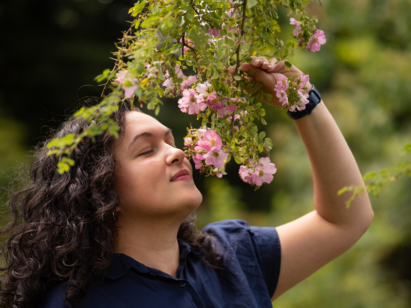 Geurbeleving in de Hortus