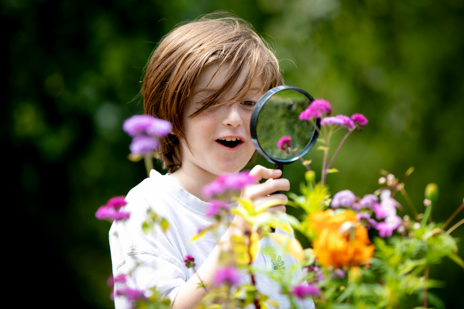Groep 3, 4 & 5 - Briljante Bloemen