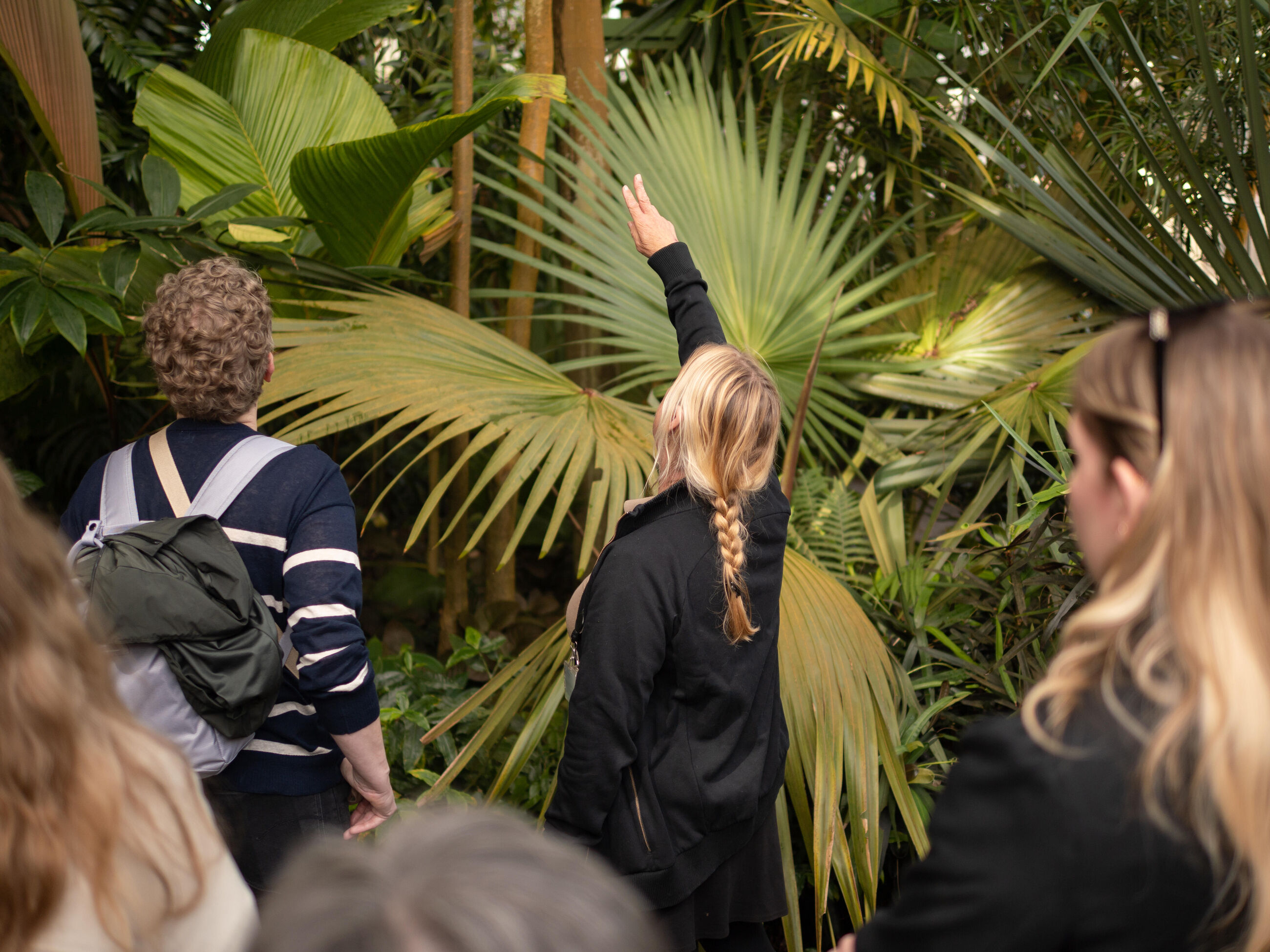 Guided tour Plants & people