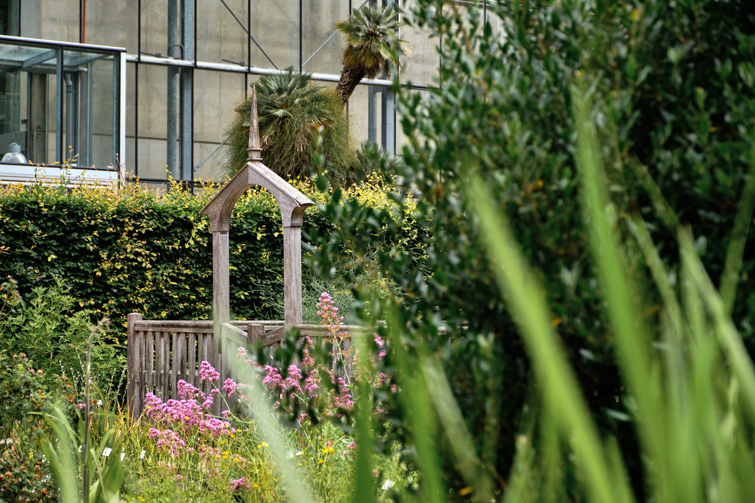 Hedges for Biodiversity