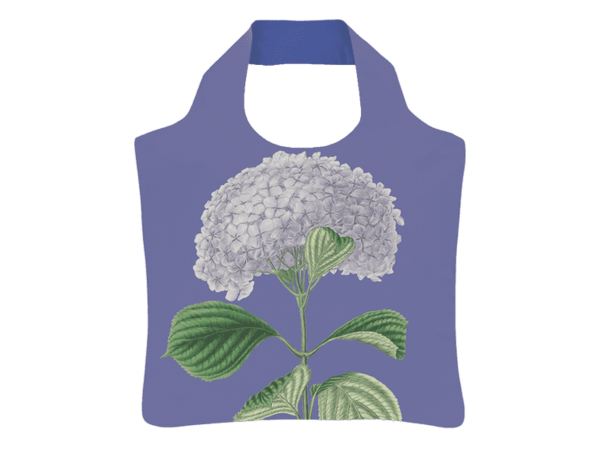 Hortensia