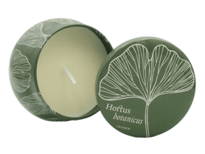 Hortus Ginkgo kaars