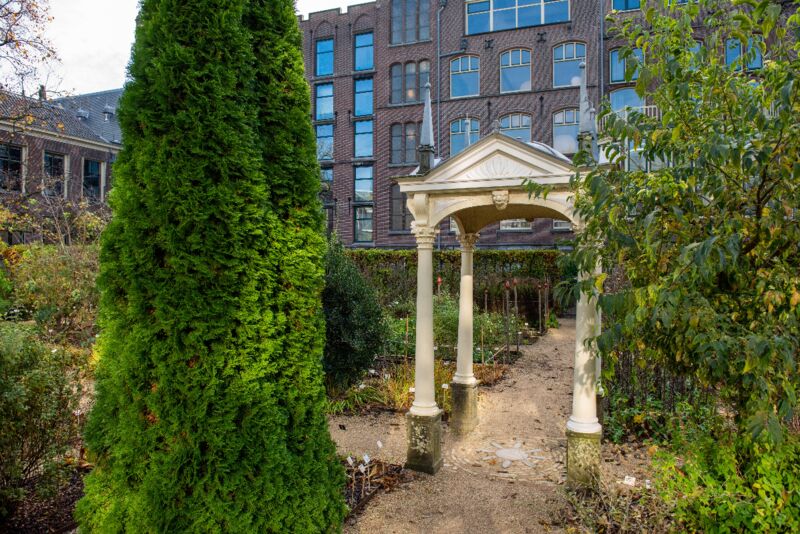 Hortus Botanicus Leiden De Oudste Botanische Tuin Van Nederland Hortus Leiden