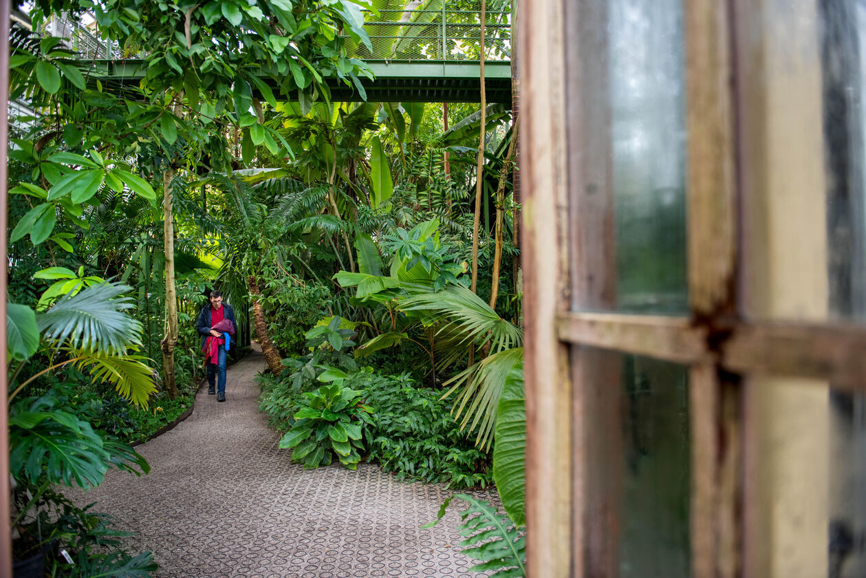 Hortus Leiden 31-10-2022-19