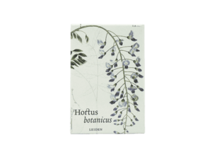 Hortus magneet Hibiscus 2