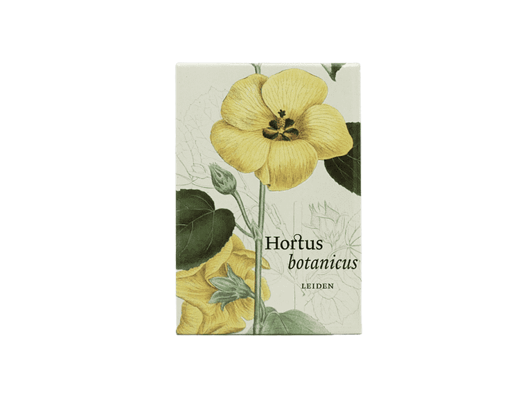 Hortus magneet Hibiscus