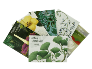 Hortus magneet Hibiscus