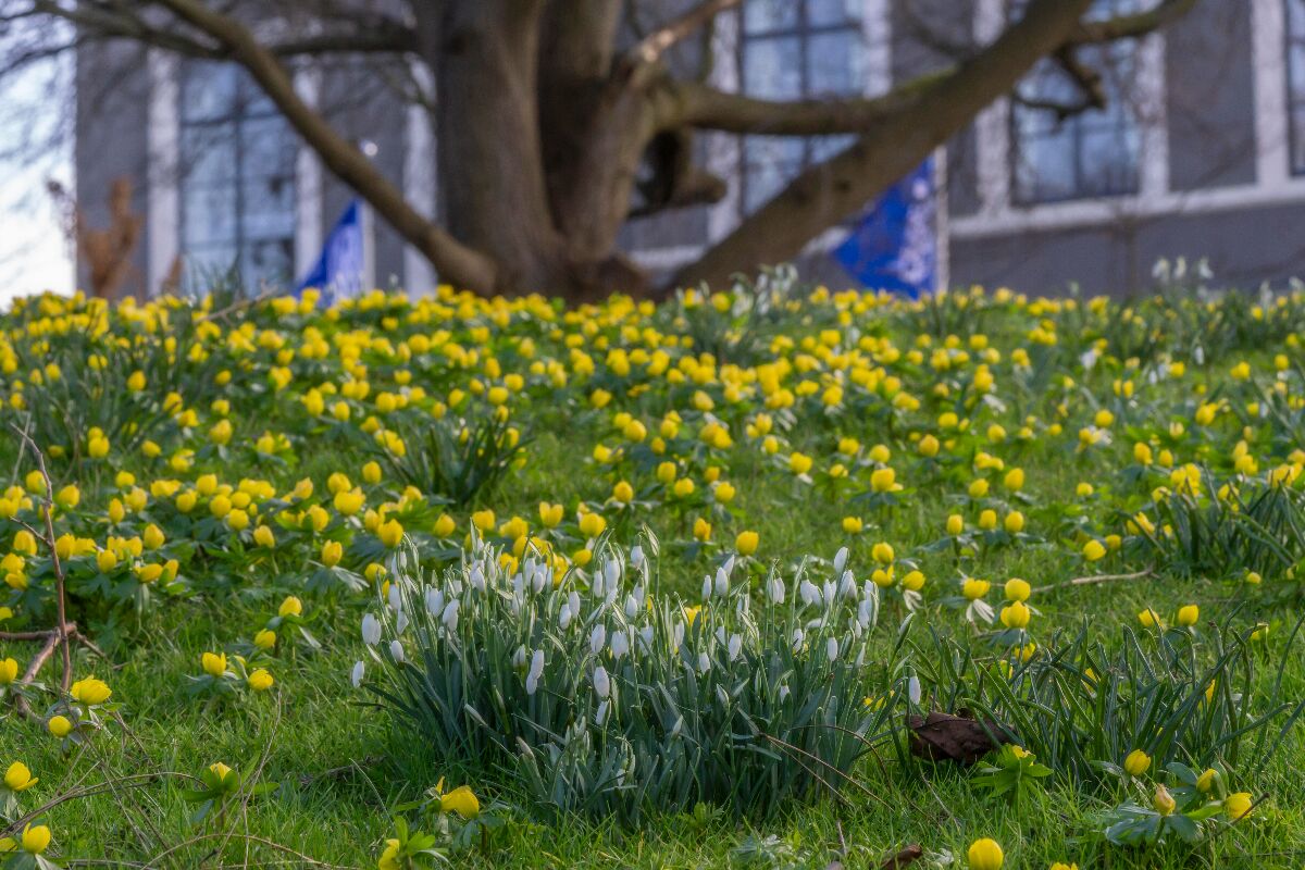 Instapexcursie winter