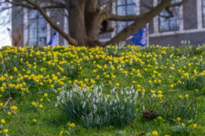 Instapexcursie winter