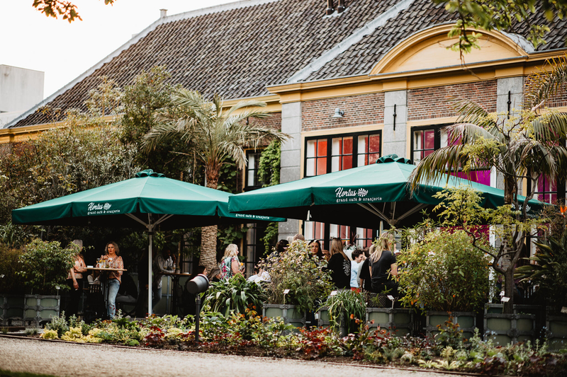 Junior salesmedewerker