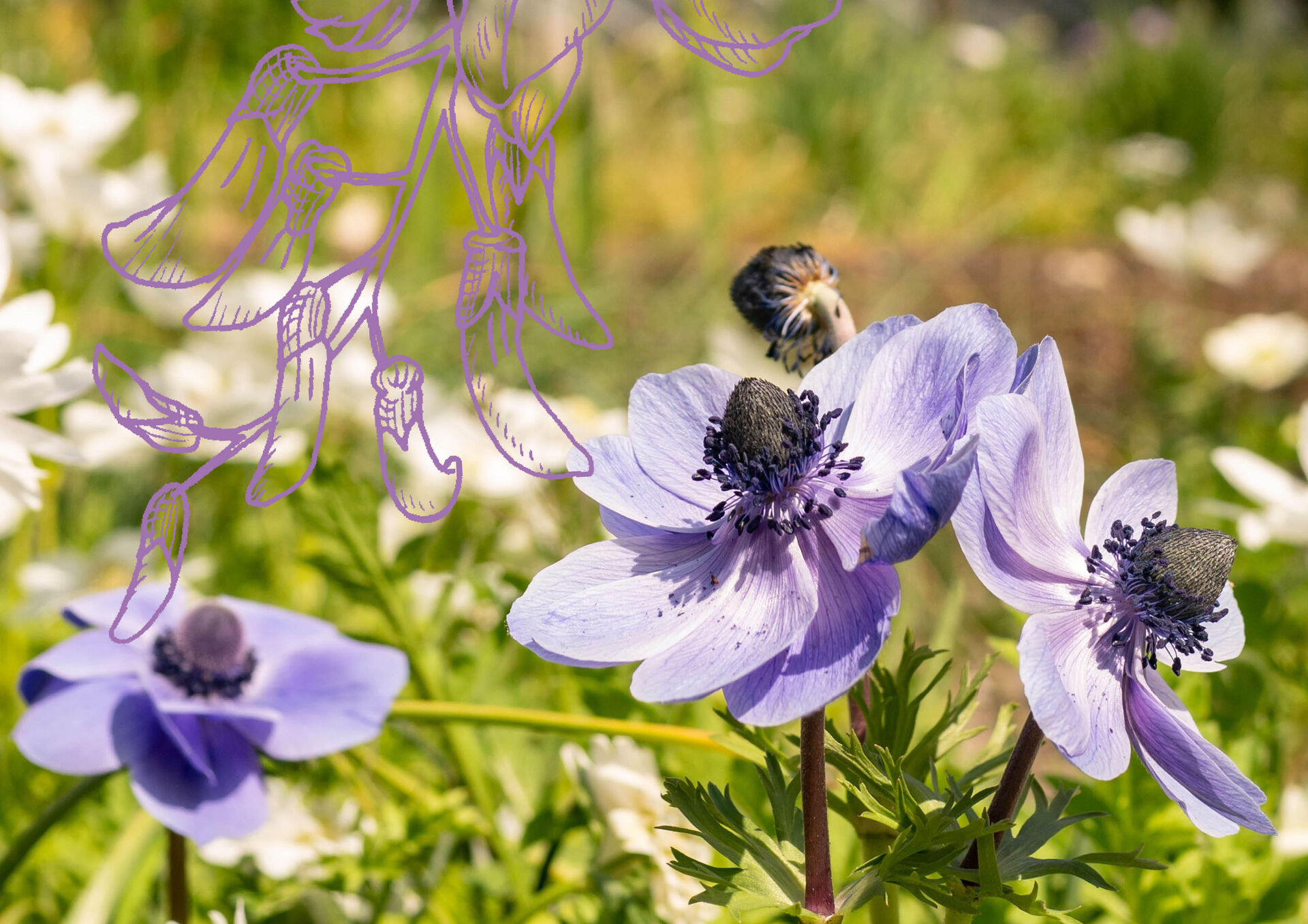 Lente in de Hortus