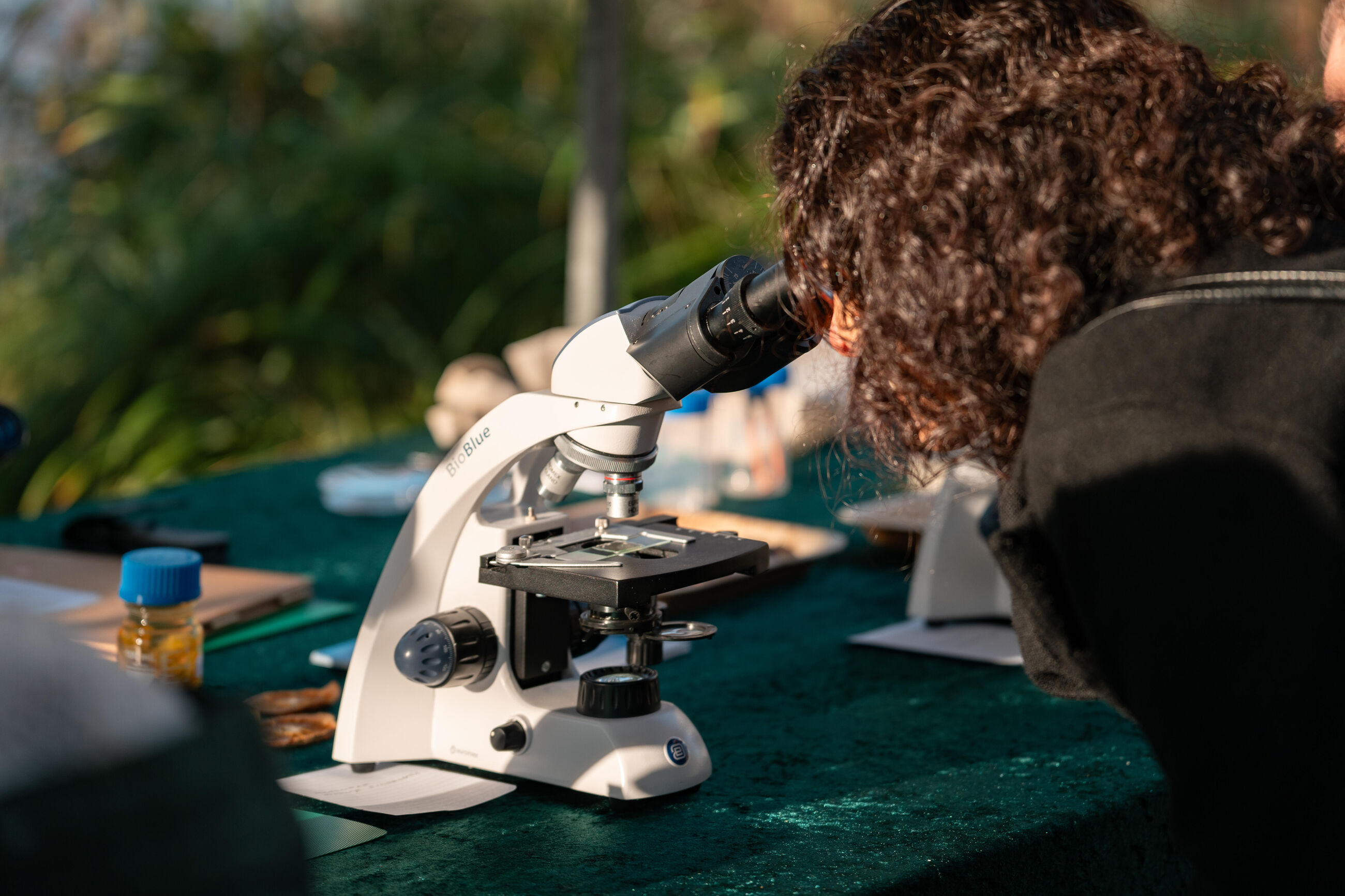 Microscopieworkshop 'Grote boom klein' 