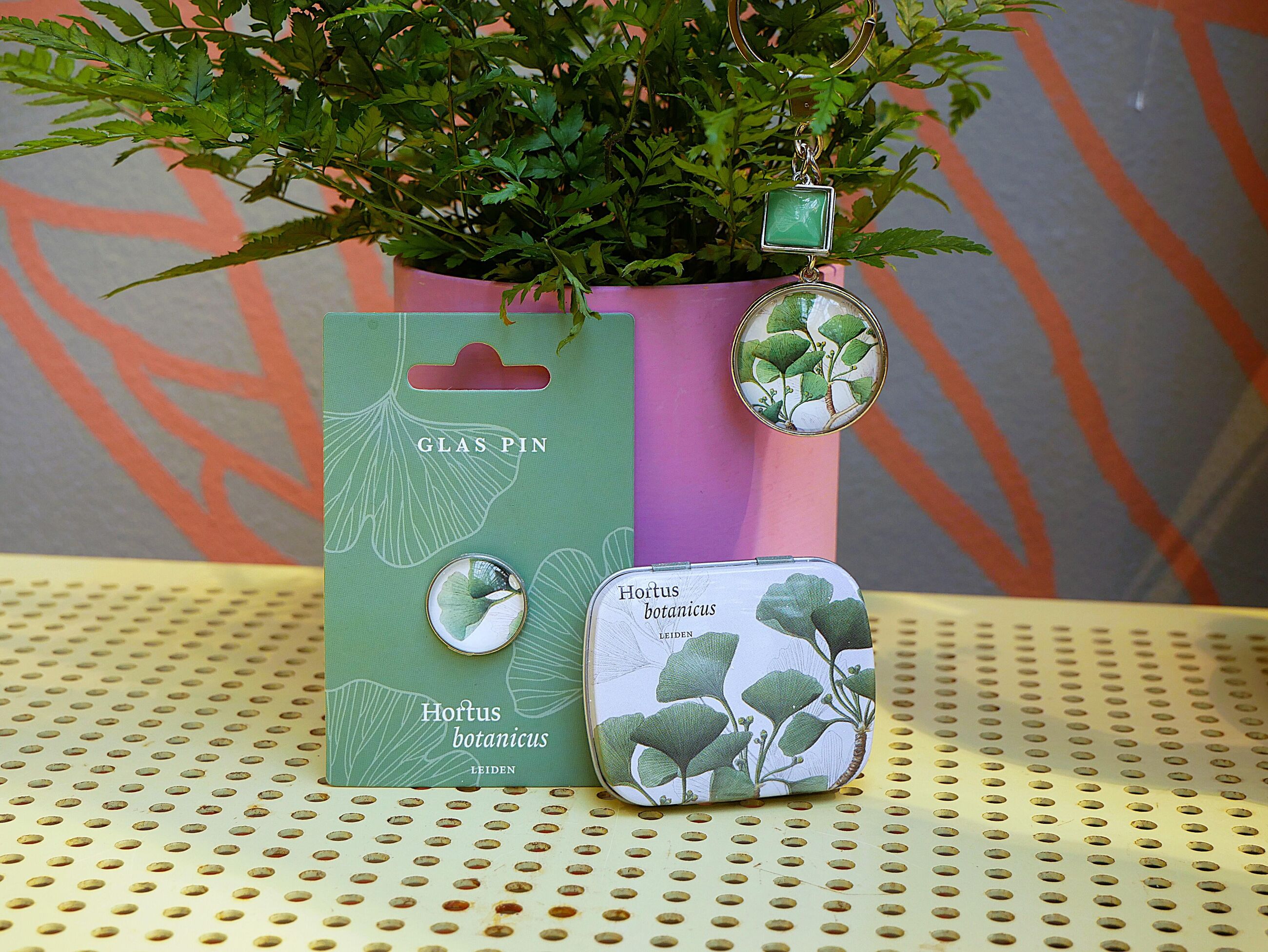 Mint blikje