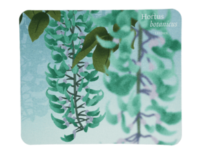 Muismat Victoria Amazonica 2