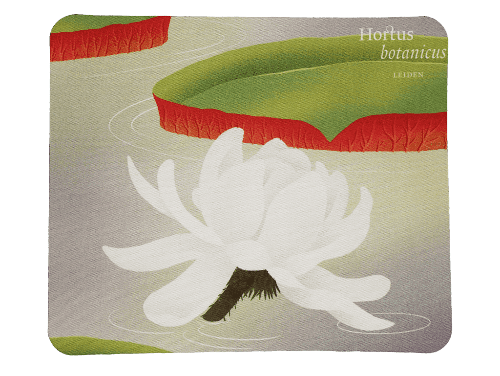 Muismat Victoria Amazonica