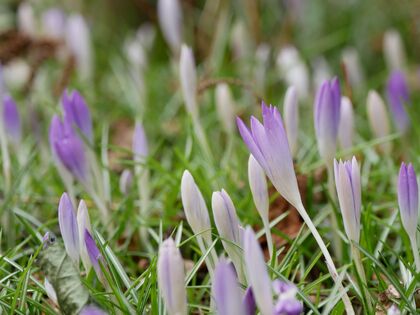 Natuurclub Winterspecial