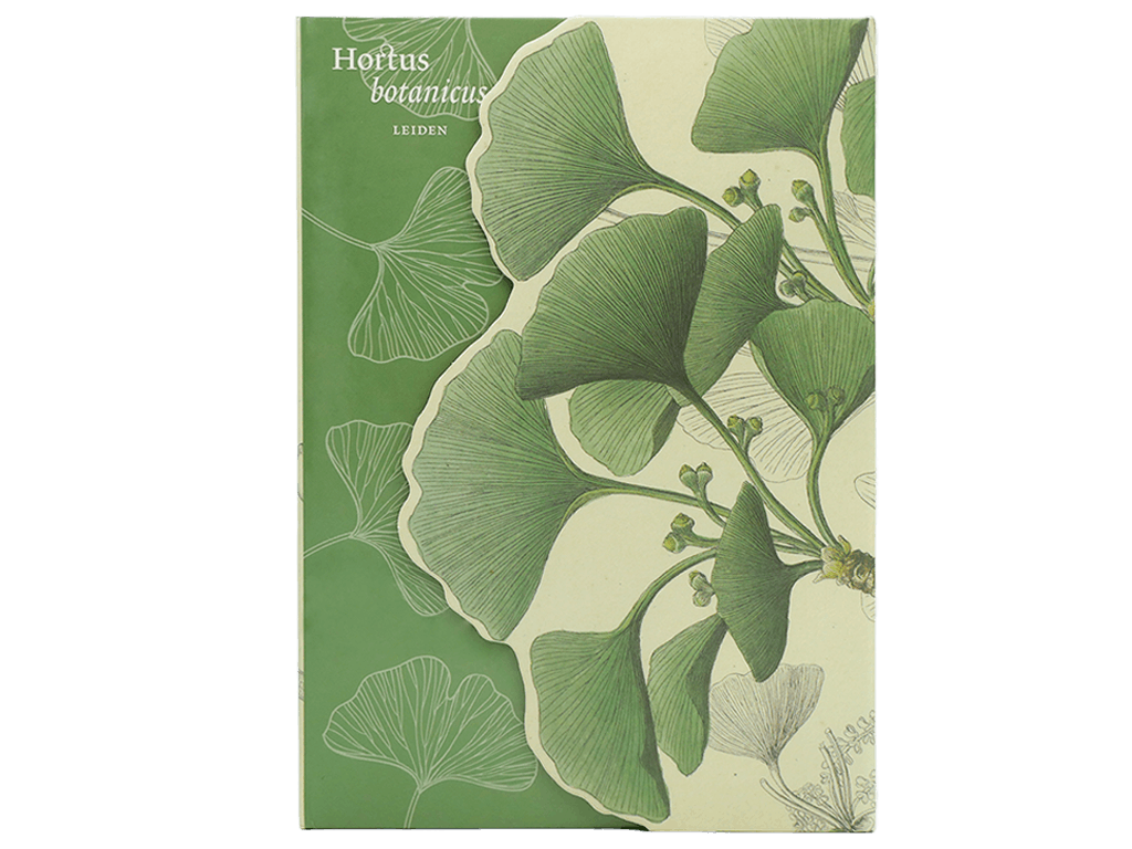 Notitieboek Gingko/Salisburia