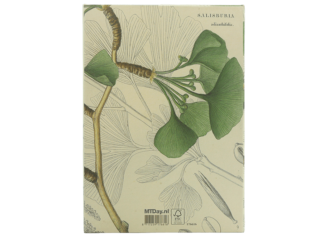 Notitieboek Gingko/Salisburia