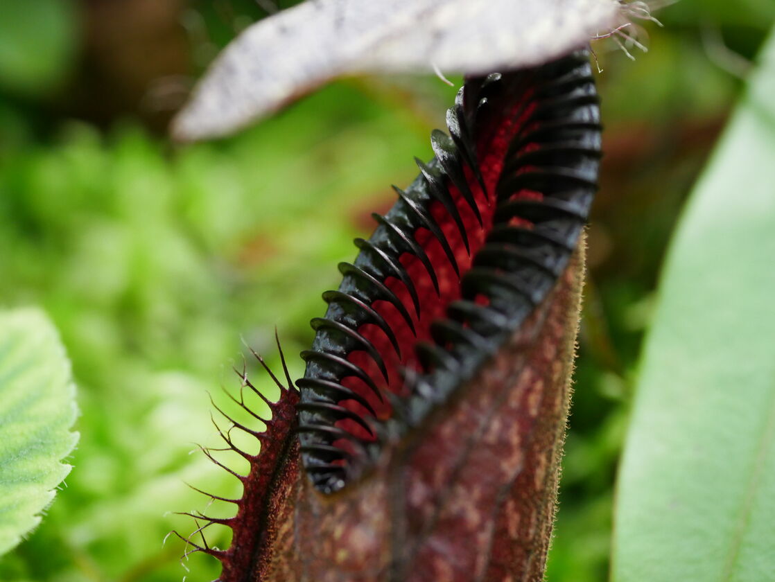 P1120724