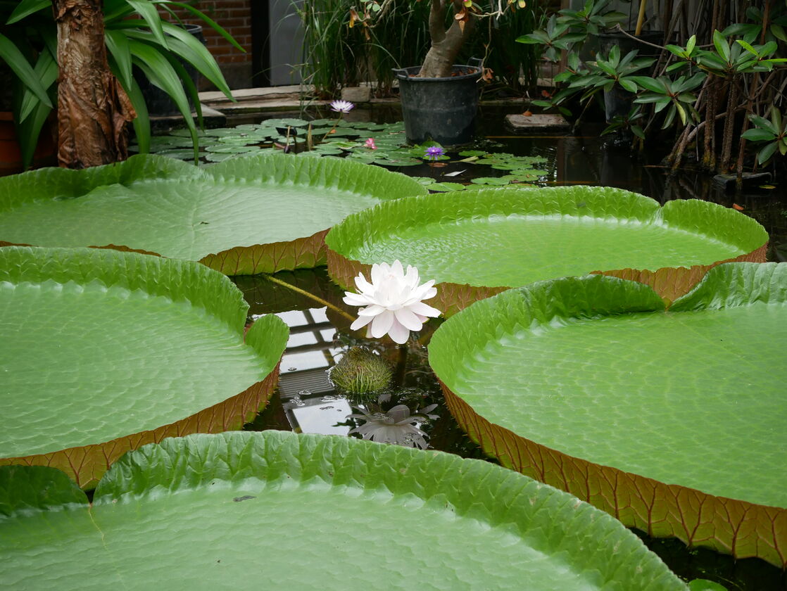 P1490810