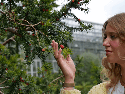 PERSFOTO Hortus botanicus Leiden jaarthema 2025 Plant en mens _ (foto Hortus botanicus Leiden)