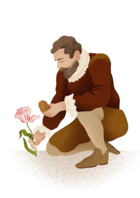 PERSFOTO Hortus botanicus Leiden 'Tijdreizen met Clusius' _ Carolus Clusius met tulp en aardappel _ (illustratie Iris van den Akker)