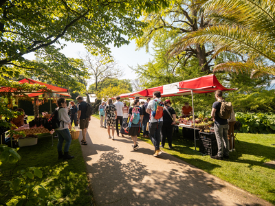 PERSFOTO Recordaantal bezoekers voor de Hortus _ Plantenmarkt 2023 _ (foto Simone Both)