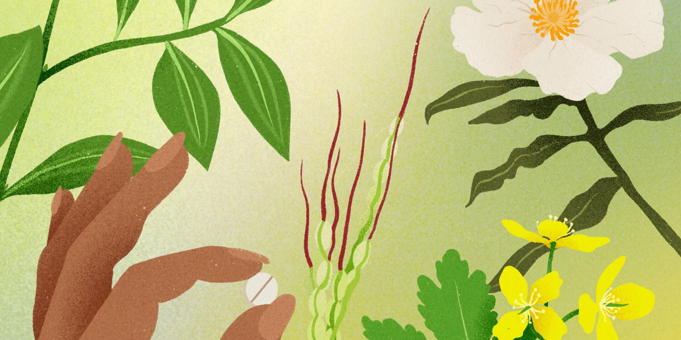 Plant & mens