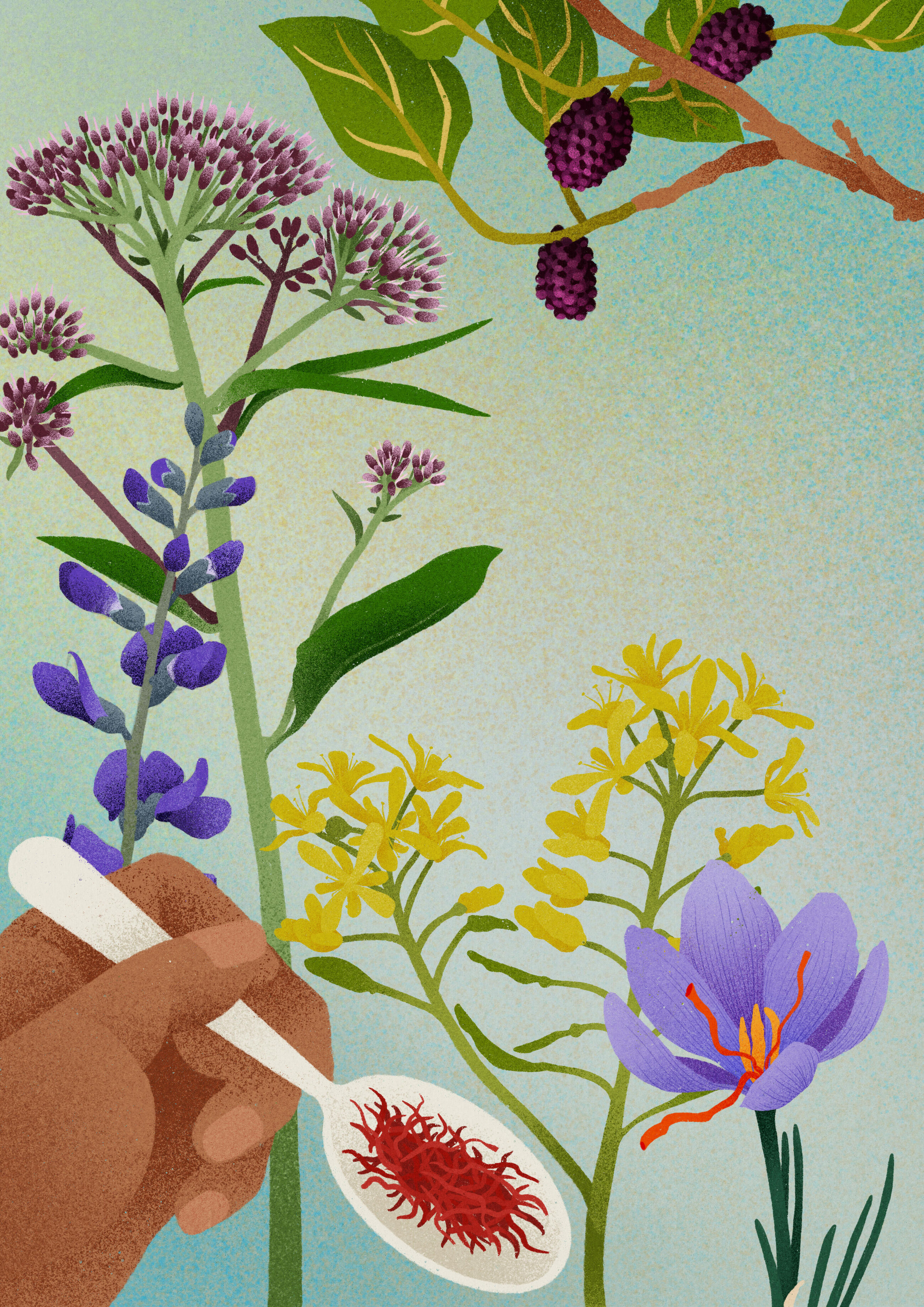 Start HOVO-cursus (VOL)