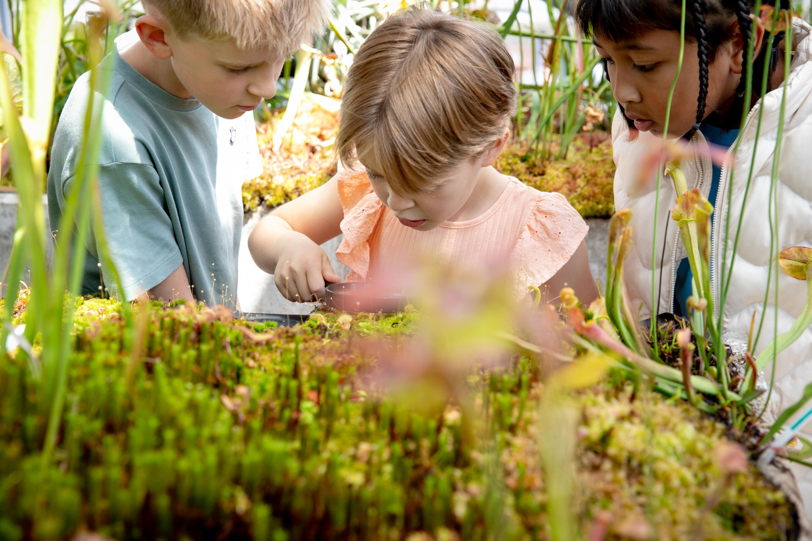Start natuurclub juni