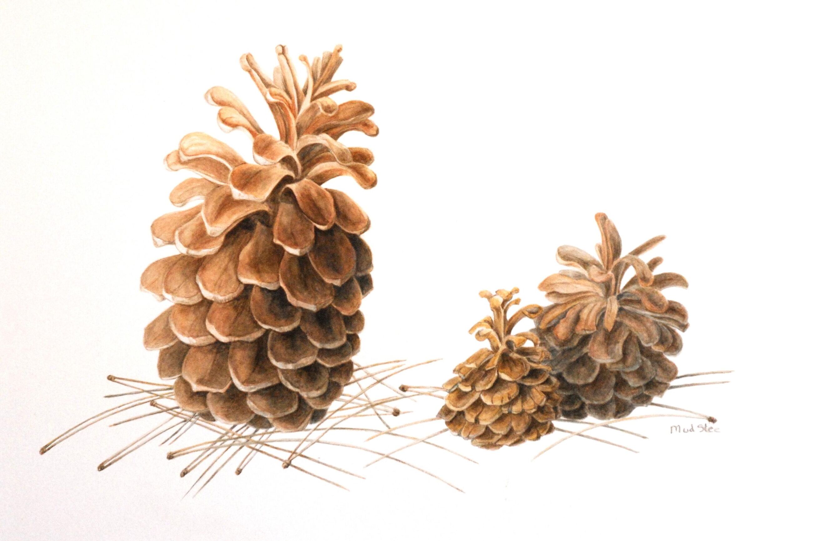 Tentoonstelling Verfplanten in de Oude UB