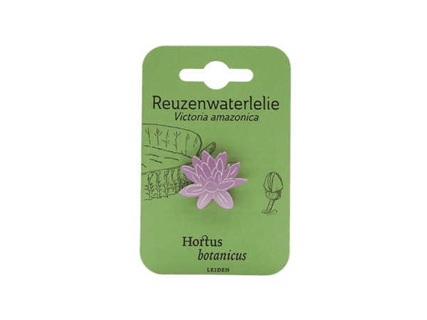 Victoria amazonica roze