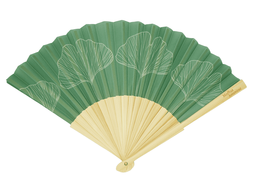 Waaier Gingko/Salisburia