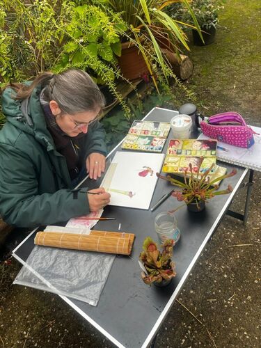 Workshop botanisch tekenen: Sarracenia