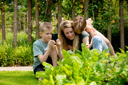 Workshop fotograferen met je mobiel: vleesetende planten (7-12 jaar)
