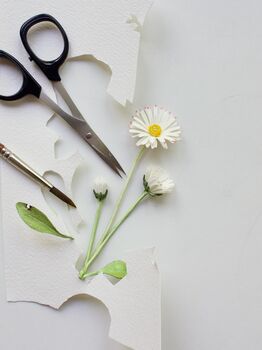 Workshop levensechte bloemen van papier: madeliefje