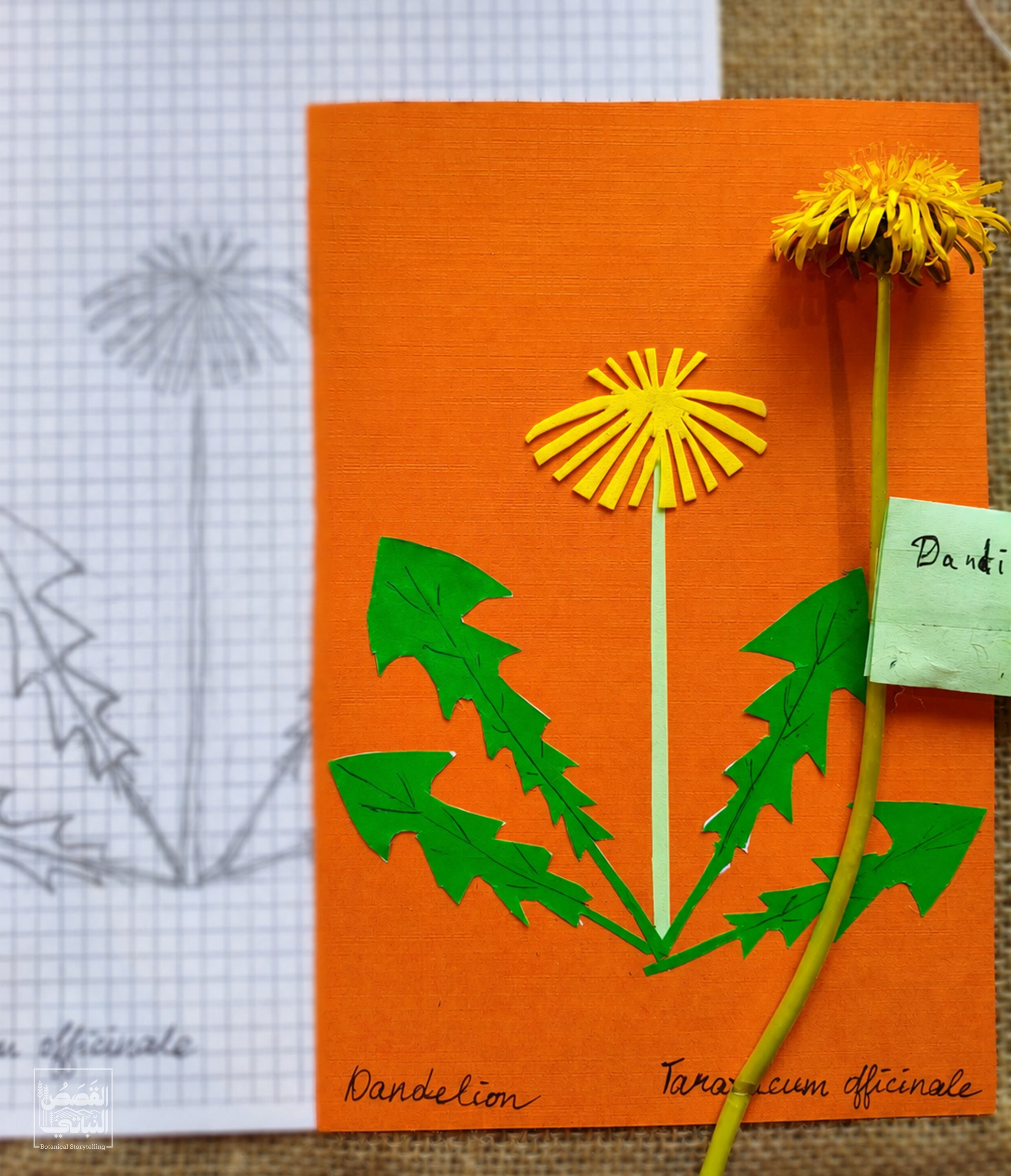Workshop Van plant tot icoon (Engelstalig)